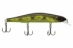 IRON MINNOW